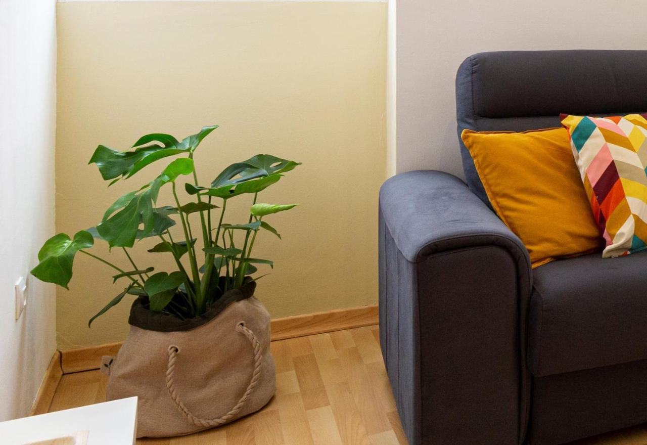 סביליה Homefeel Museo מראה חיצוני תמונה